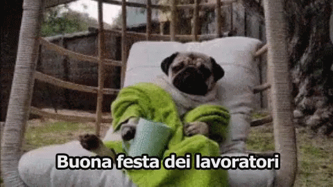 Primo Maggio Festa Dei Lavoratori Relax Rilassarsi Cane Pug GIF