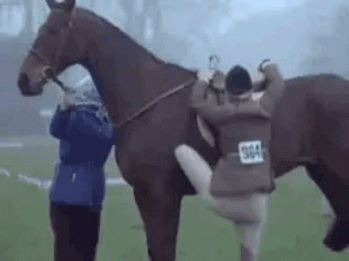 Princess Anne Princess Royal GIF. This 498 x 373 animated GIF is part of our horse kick collection. Related themes include horse. Created by annegifs. View…