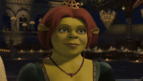 Princess Fiona Shrek GIF