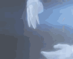 Princess Tutu Ahiru GIF