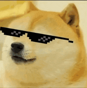 Pro Doge GIF
