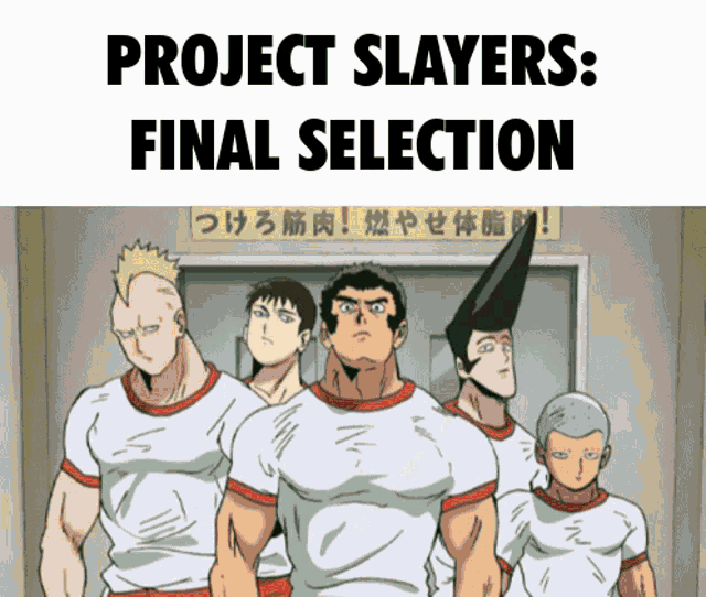 Project Slayers Roblox GIF