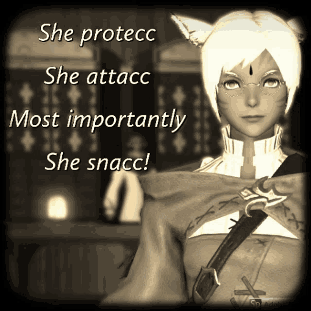 Protecc Attacc GIF