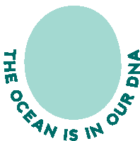 Protect Blue World Ocean Day Sticker