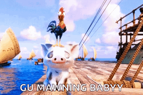 Pua Heihei GIF. This 498 x 331 animated GIF is part of our hei hei moana collection. Created by ninagianan. View the original animation, share it, or browse…