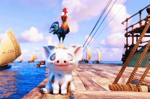 Pua Heihei GIF. This 498 x 330 animated GIF is part of our hei hei moana collection. Created by JuliaClements. View the original animation, share it, or…