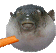 Puffer Fish Sticker