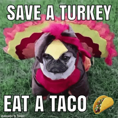 Pug Taco GIF