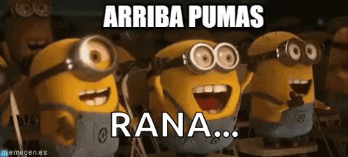 Pumas GIF