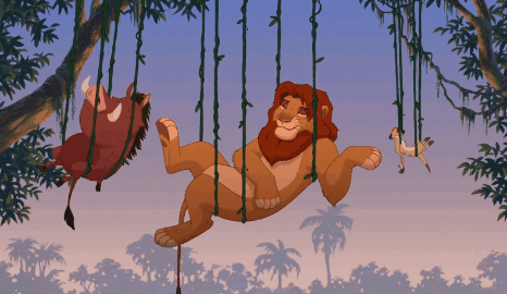 Pumba Simba GIF