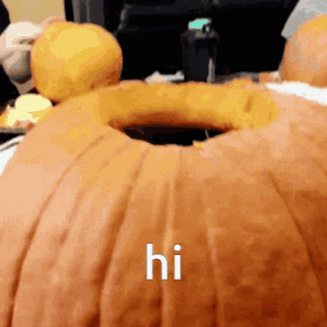 Pumpkin Cat Hi GIF