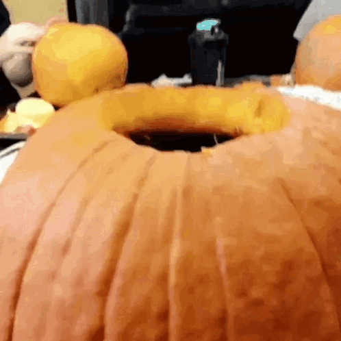 Pumpkin Cat GIF