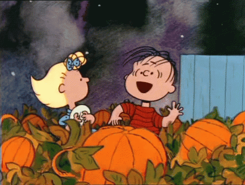 Pumpkin GIF