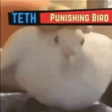 Punishing Bird Lobotomy Corporation GIF