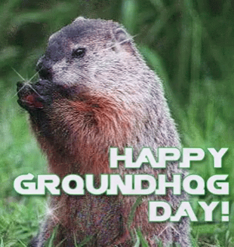 Punxsutawney Phil GIF