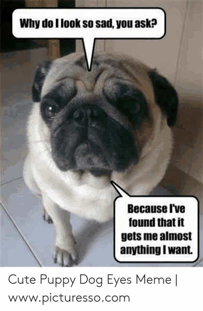 Pup Lol Meme