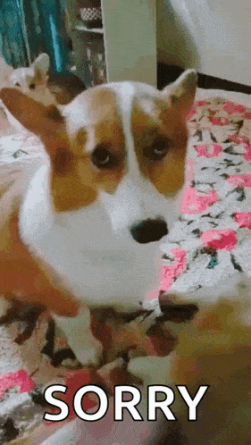 Pupp Dog Eyes Sad GIF