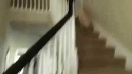Pupper Fall Down The Stairs GIF. This 426 x 240 animated GIF is part of our john wick dog collection. Created by MBMadigan. View the original animation…