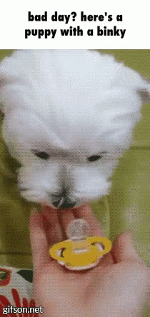 Puppy Binky GIF. This 210 x 444 animated GIF is part of our honey youve got a big storm coming collection. Related themes include cute, puppy. View the…