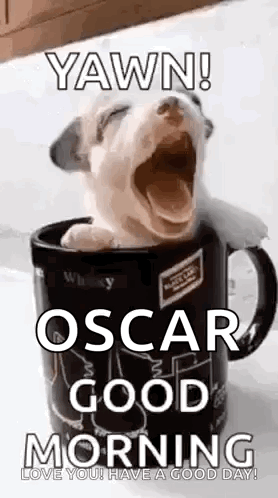 Puppy Cup GIF