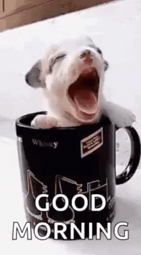 Puppy Cup GIF. This 277 x 498 animated GIF is part of our gracias por su atencion para diapositivas collection. Related themes include cup, cute puppy, good…
