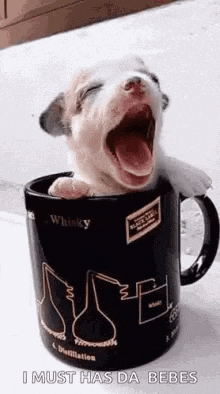 Puppy Cup GIF