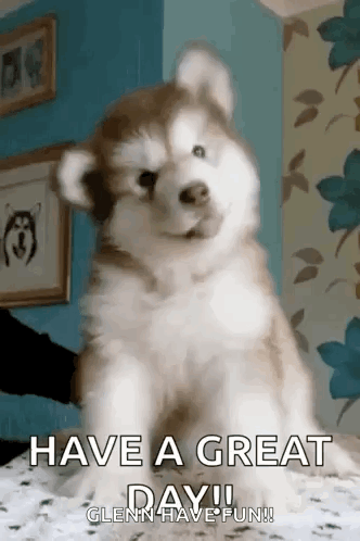 Puppy Cute GIF