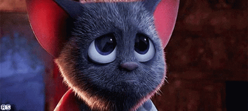 Puppy Dog Eyes Hotel Translvania GIF