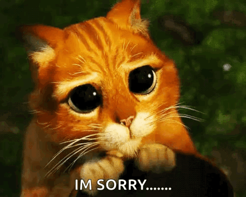Puppy Dog Eyes Sad GIF