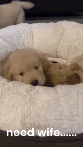 Puppy Dog GIF