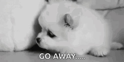 Puppy Dog GIF