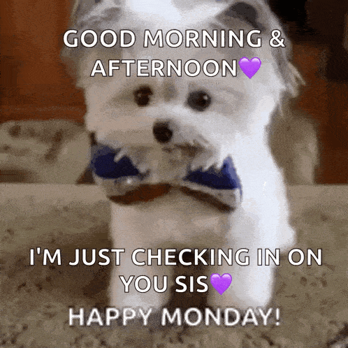 Puppy High Five GIF