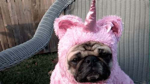 Puppy Lol GIF