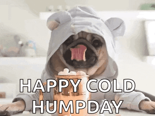 Puppy Pug GIF