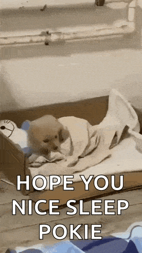 Puppy Tired GIF