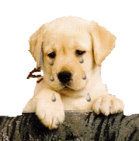 Puppy Sticker