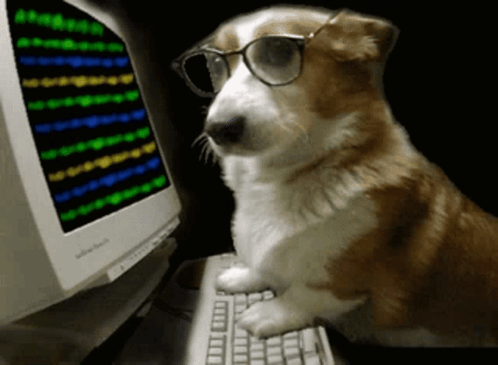 Puppyhacker GIF. This 498 x 365 animated GIF is part of our hacker collection. Created by ubiss. View the original animation, share it, or browse related…