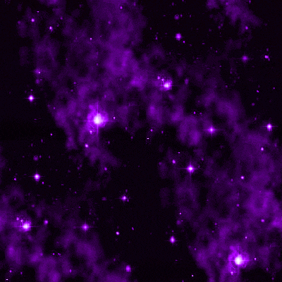 Purble GIF