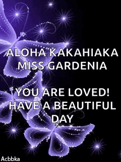 Purple Butterflies GIF