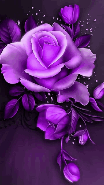 Purple Meme