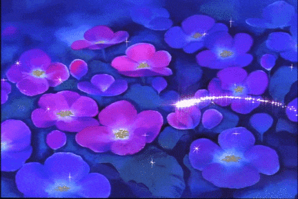 Purple Pink GIF
