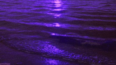 Purple Water GIF