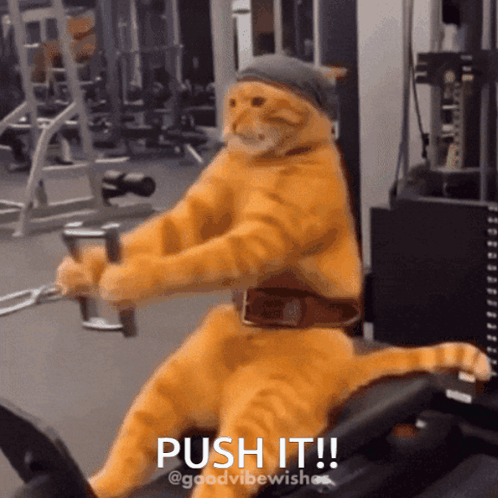 Push It Lets Go GIF