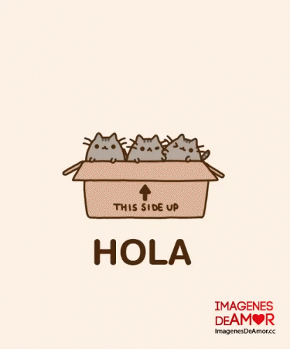 Pusheen Hola GIF