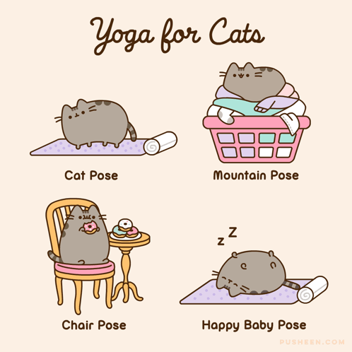 Pusheen Pusheen Cat GIF
