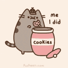 Pusheen Pusheen Cat Meme