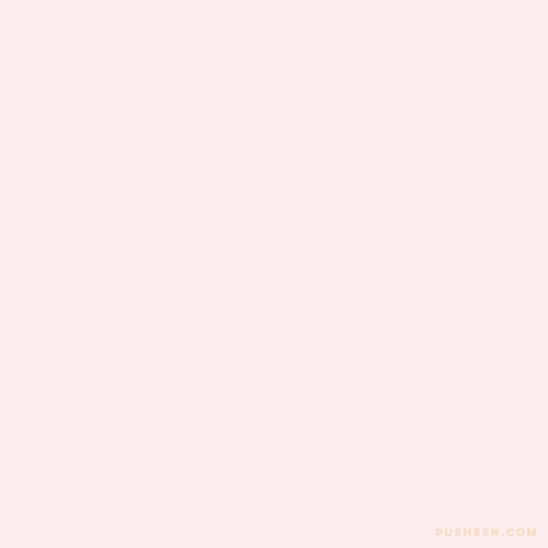 Pusheen Pusheen Cat GIF