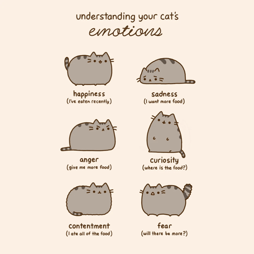 Pusheen Pusheen Cat GIF