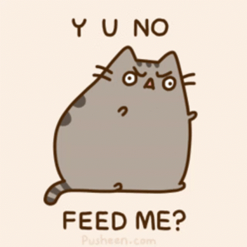 Pusheen Pusheen Feed GIF