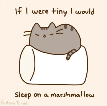 Pusheen Sleep GIF